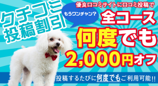 口コミ
